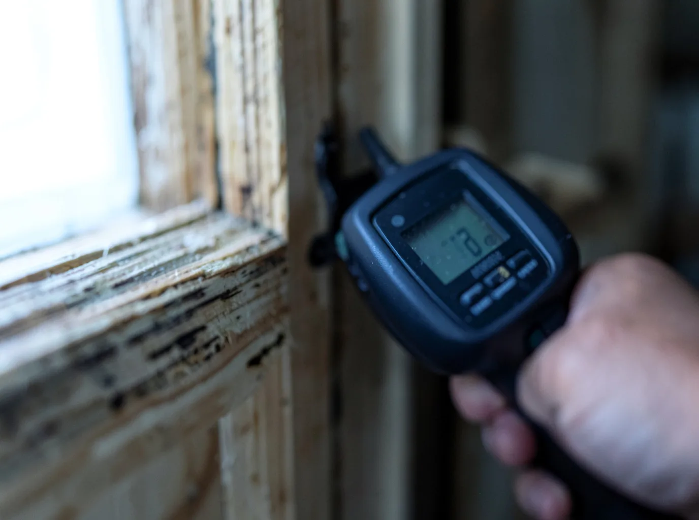 Moisture Inspection And Documentation in Oberlin, LA
